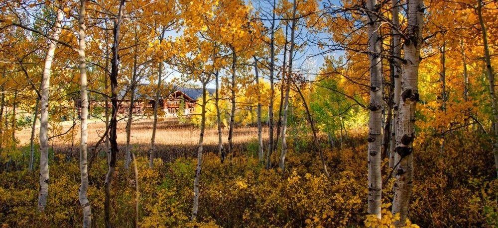 Daniels Summit Lodge Wallsburg Dış mekan fotoğraf