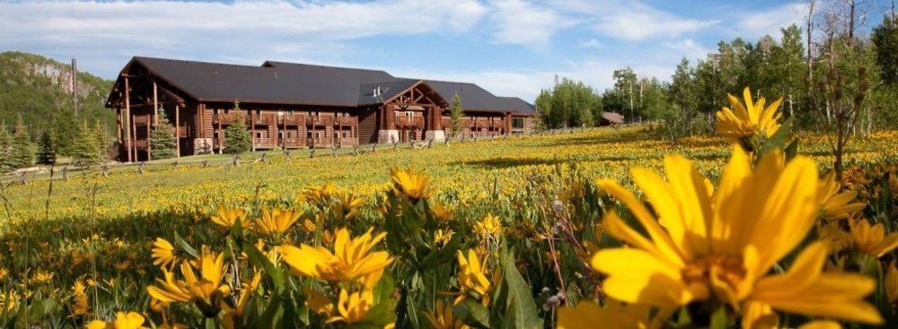 Daniels Summit Lodge Wallsburg Dış mekan fotoğraf
