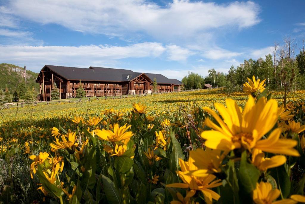 Daniels Summit Lodge Wallsburg Dış mekan fotoğraf